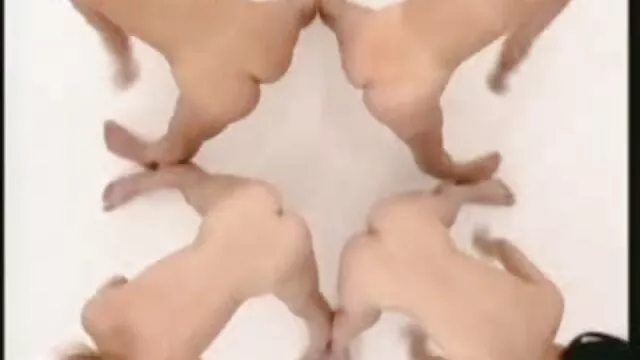 1 porn video